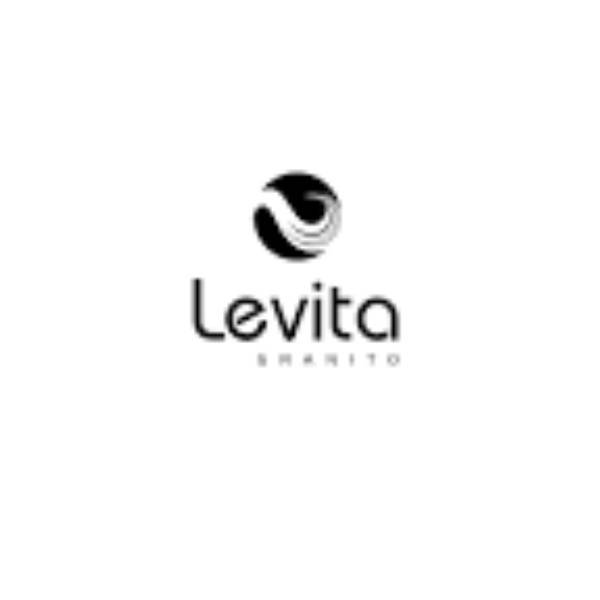 Levita Granito Pvt Ltd logo