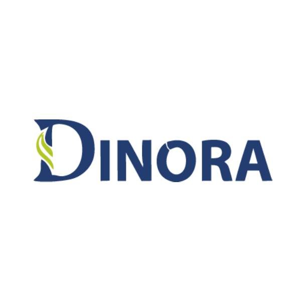 Dinora Industries